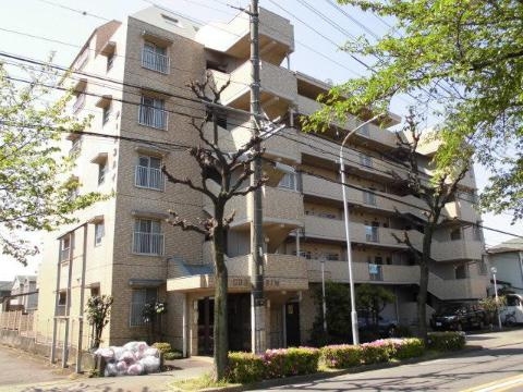 13202067/建物外観