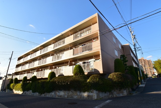 14572803/建物外観